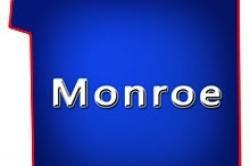 Monroe County Wisconsin Commercial Properties for Sale