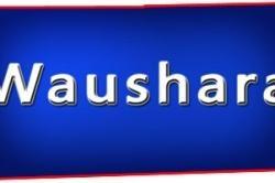 Waushara County Wisconsin Commercial Properties for Sale